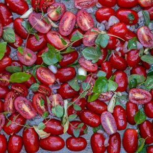 عصاره الیت گوجه