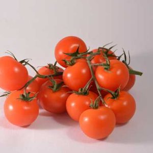 عصاره گوجه‌فرنگی الیت