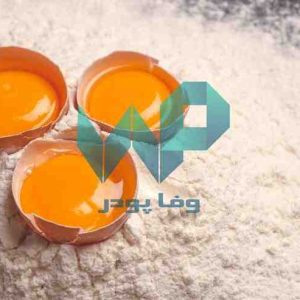 راهکارهایی برای خرید پودر تخم مرغ