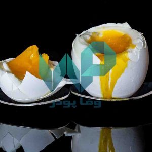 پودر زرده تخم مرغ باسلام