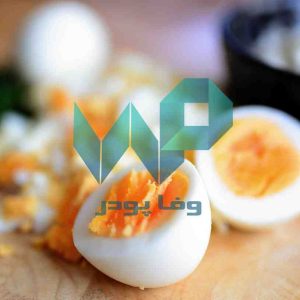 فروشگاه پودر تخم مرغ