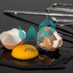 پودر زرده تخم مرغ از کجا بخریم