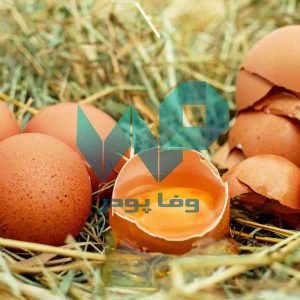 پخش اینترنتی پودر زرده تخم مرغ