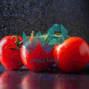 پودر گوجه صادراتی