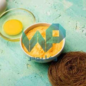پودر تخم مرغ خانگی یا صنعتی