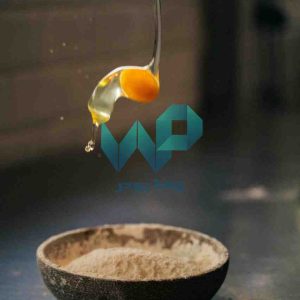 صادرات و فروش پودر تخم مرغ