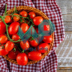 پودر گوجه را از کجا بخریم؟