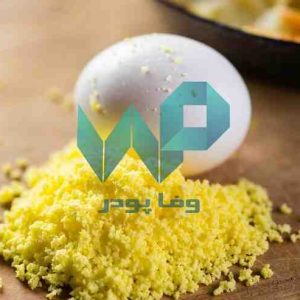 قیمت پودر تخم مرغ
