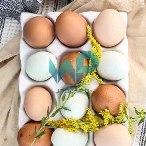 پودر سفیده تخم مرغ دستچین