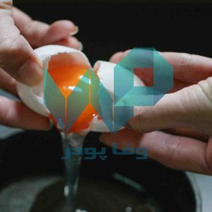 پودر زرده یا سفیده تخم مرغ، پودر تخم مرغ