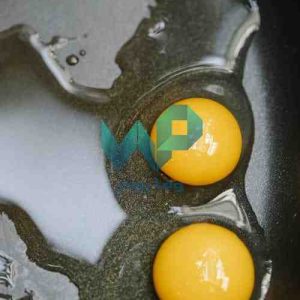 پودر تخم مرغ ارگانیک