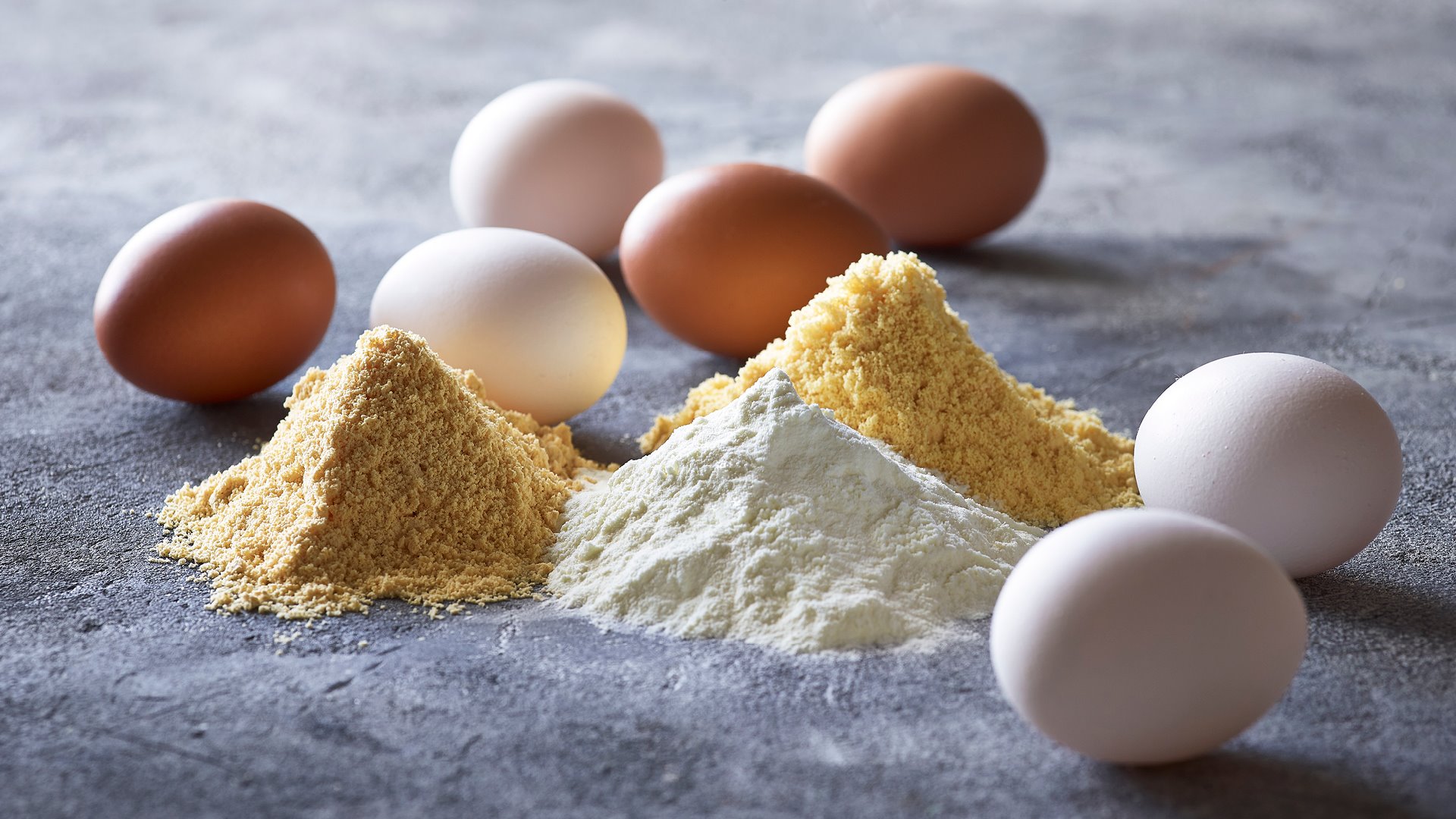 Egg Powders@2x 1