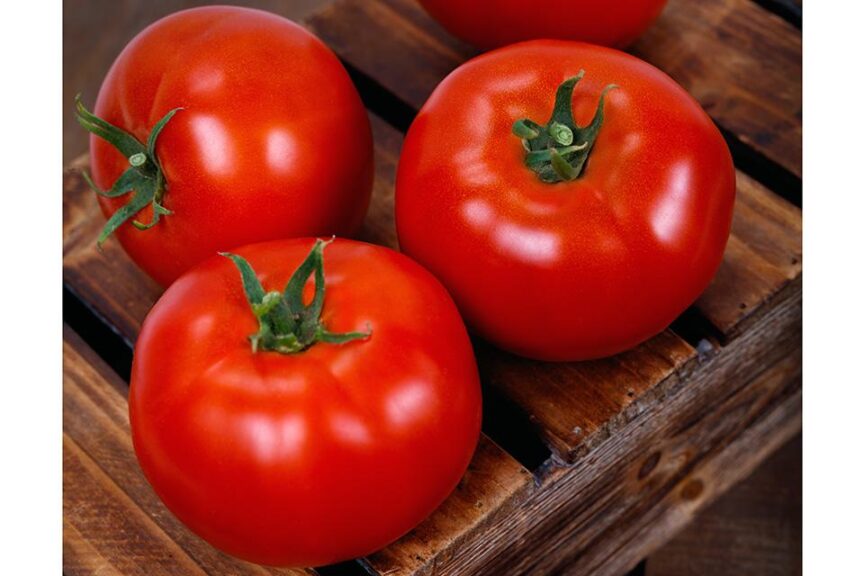 عصاره های گوجه فرنگی