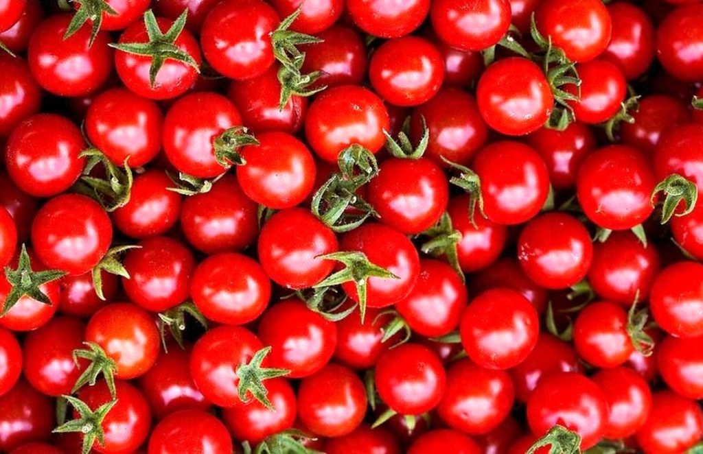 گوجهفرنگی