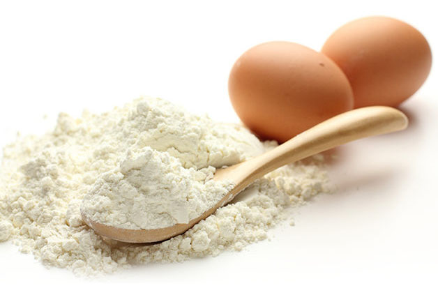 بررسی پودر تخم مرغ