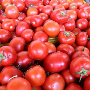 بررسی چندین مزایای پودر گوجه