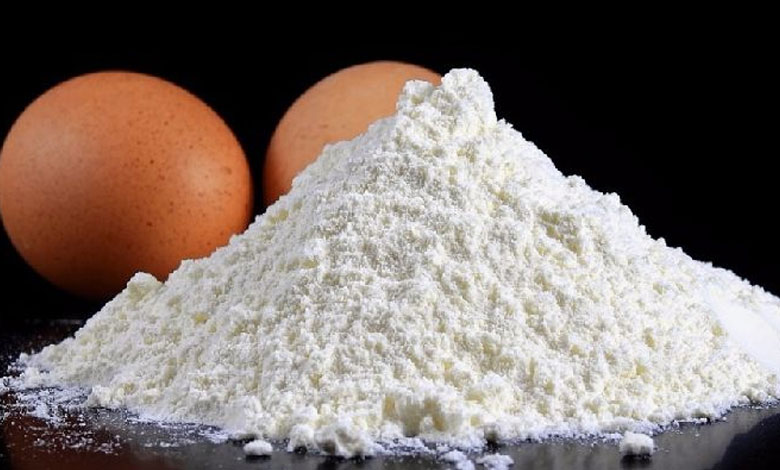 راهنمای جامع خرید پودر تخم مرغ