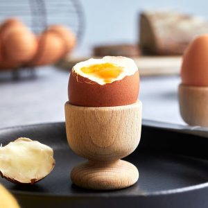 قیمت فروش عمده پودر تخم مرغ