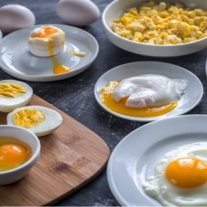 خرید پودرهای تخم مرغ خارجی