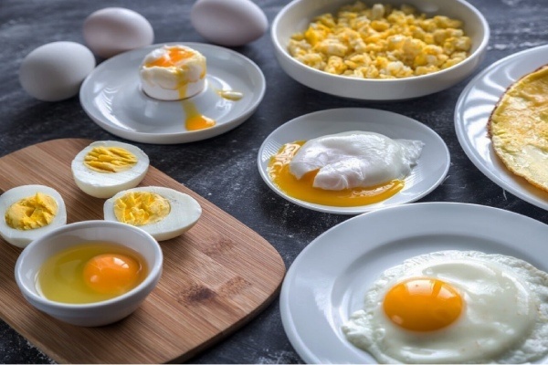 خرید پودرهای تخم مرغ خارجی