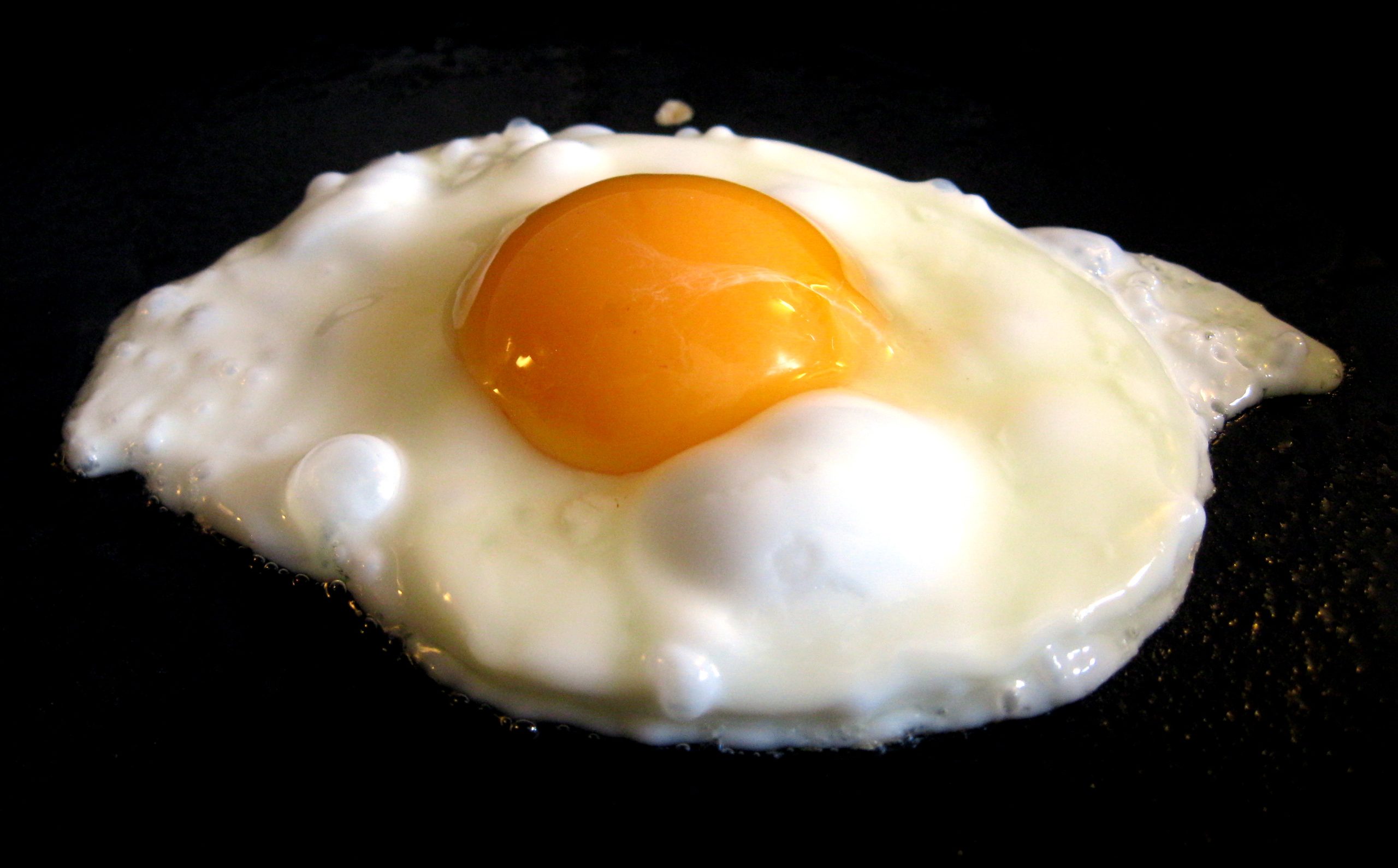 Fried Egg 2 scaled