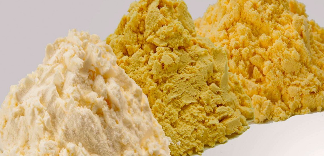 خرید و فروش پودر تخم مرغ