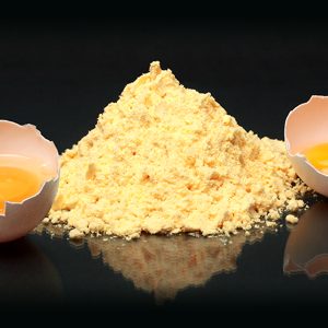 پودر سفیده تخم مرغ چیست؟ هر آنچه باید درباره پودر سفیده تخم مرغ بدانید