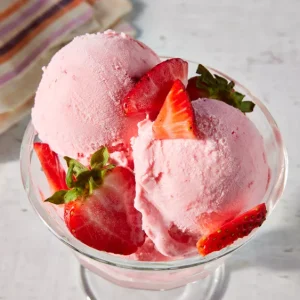 پودر بستنی دارای چند مدل است؟