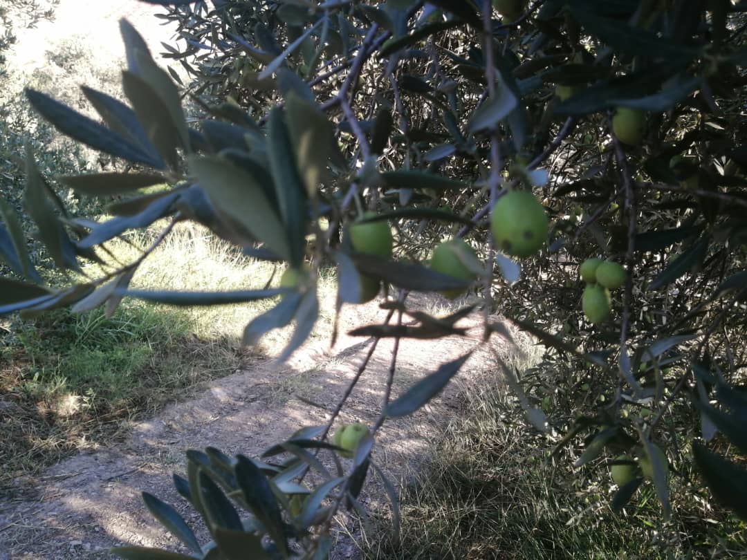 WhatsApp Image 2026 01 03 at 11.58.54