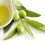 نمایندگی فروش روغن زیتون در تهران